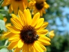 DSCF0015